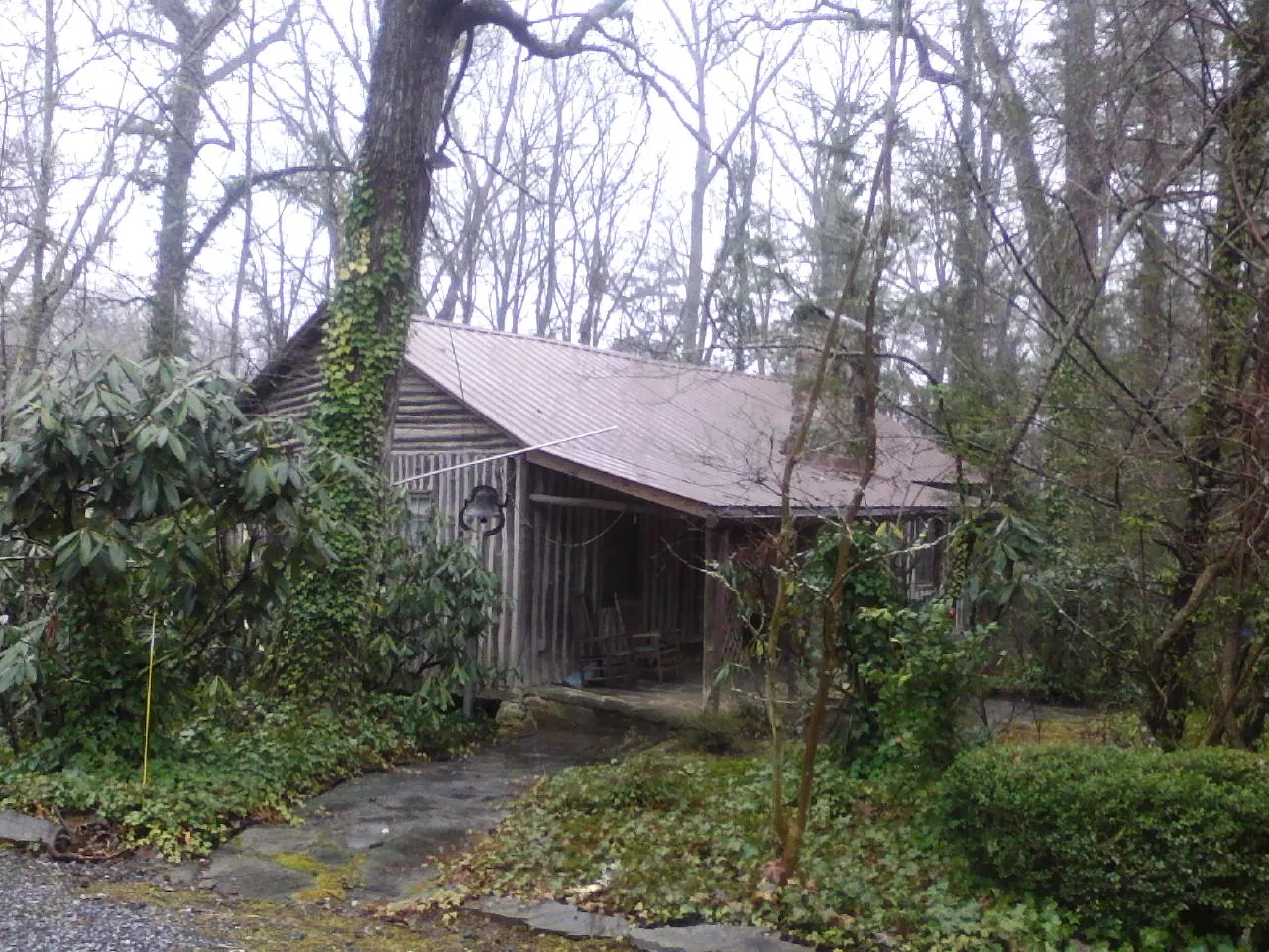 Weathered metal roof on an old board sided cabin in the woods in Randallstown